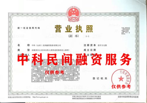 中科山東民間融資服務公司股權轉讓中的技術咨詢與技術服務